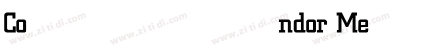 Condor Medium字体转换